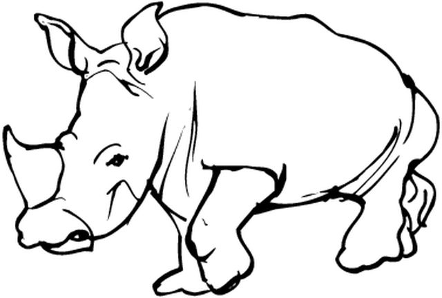 rub coloriages animaux en afrique 2